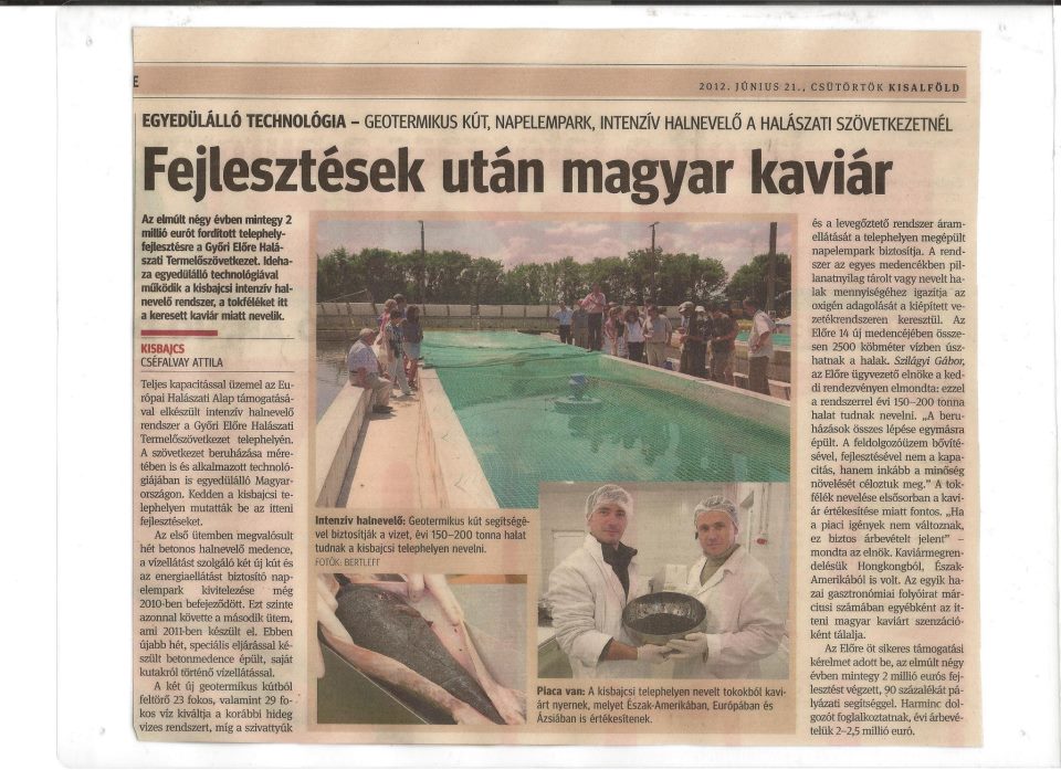 Fejlesztések után magyar kaviár